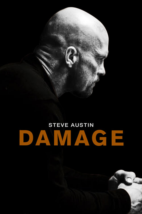 Damage Poster #1