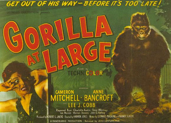 Gorilla at Large Poster #1