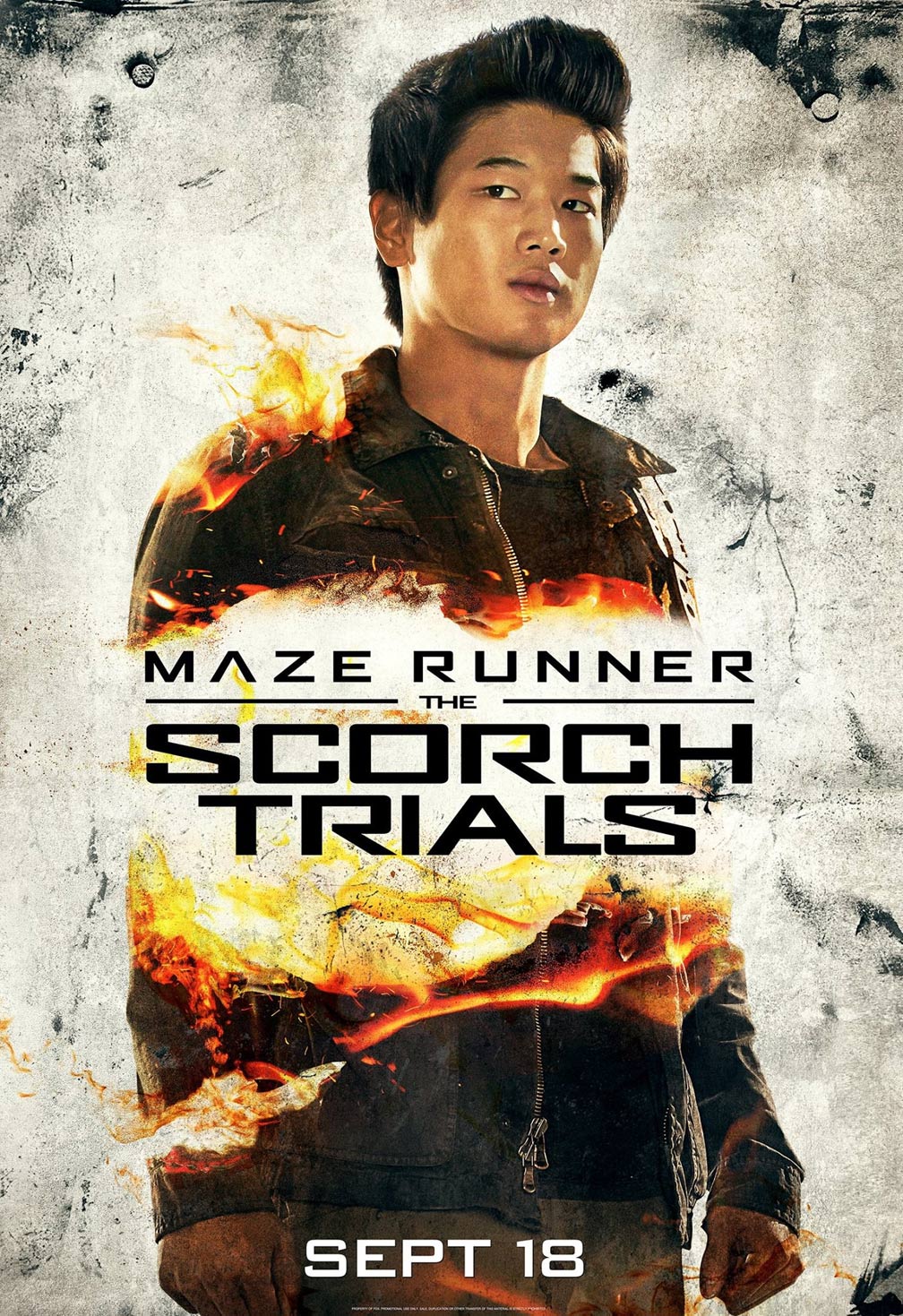 Maze Runner: The Scorch Trials Poster #3