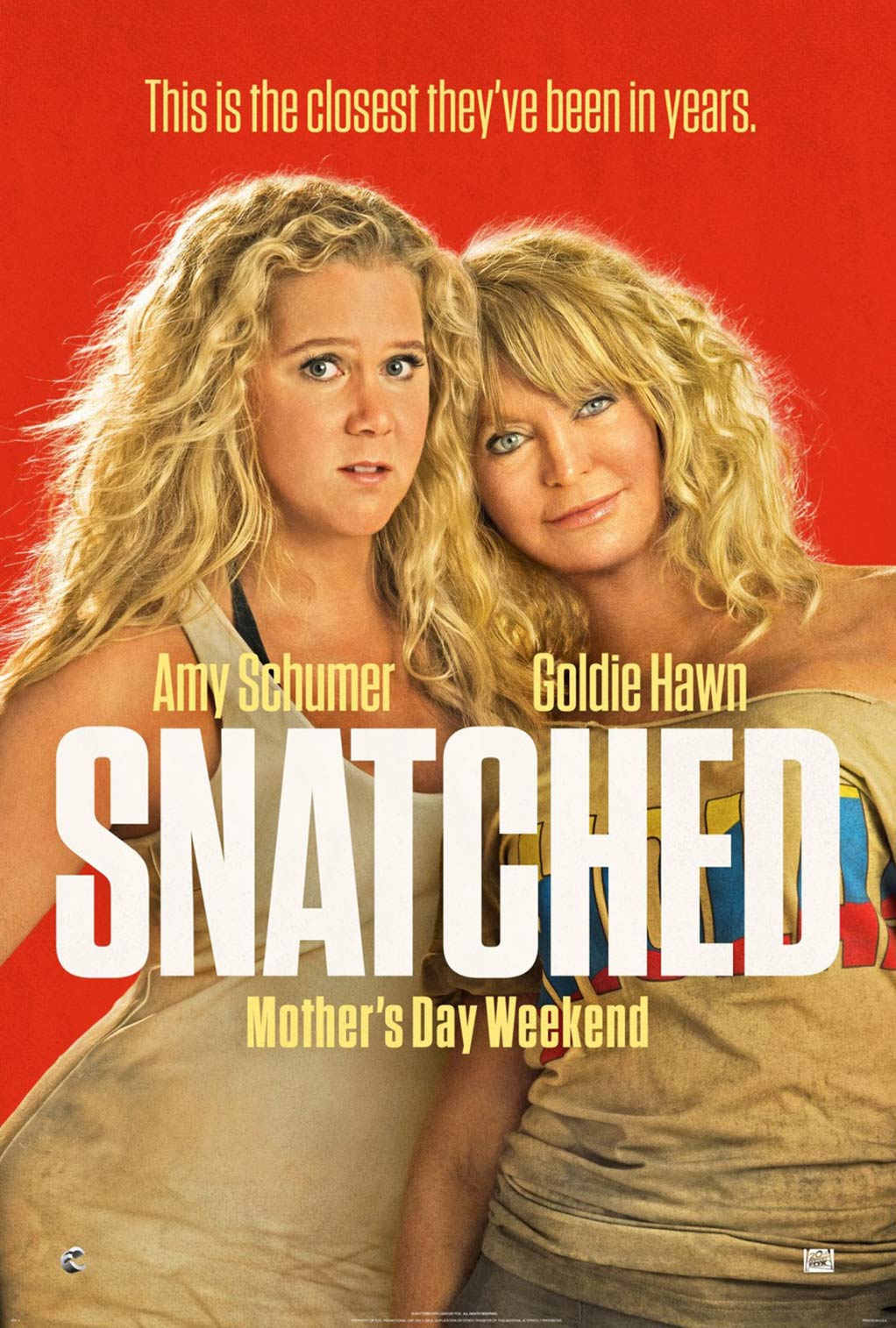 Snatched Poster #2