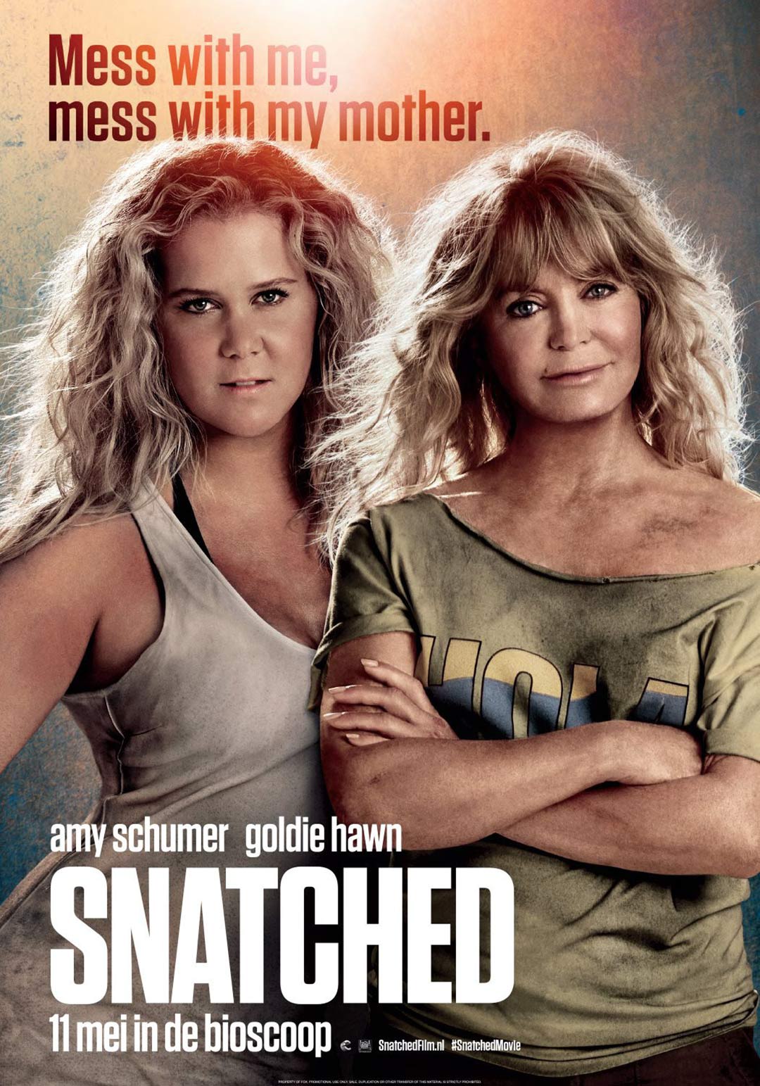 Snatched Poster #3