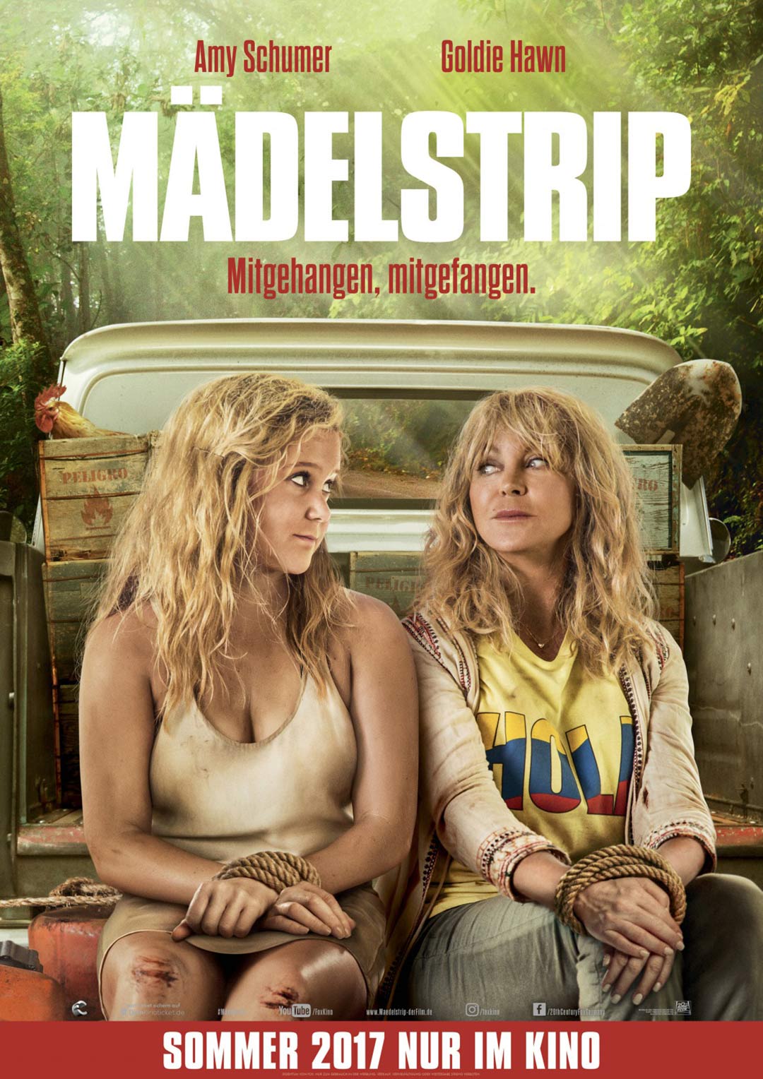 Snatched Poster #4