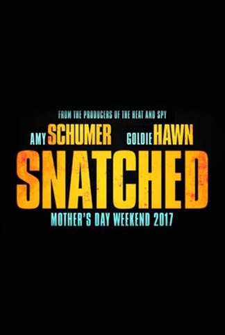 Snatched Poster #1