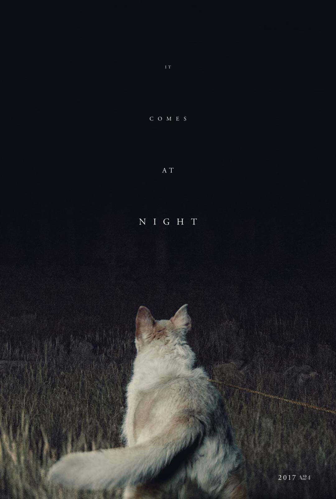 It Comes at Night Poster #1