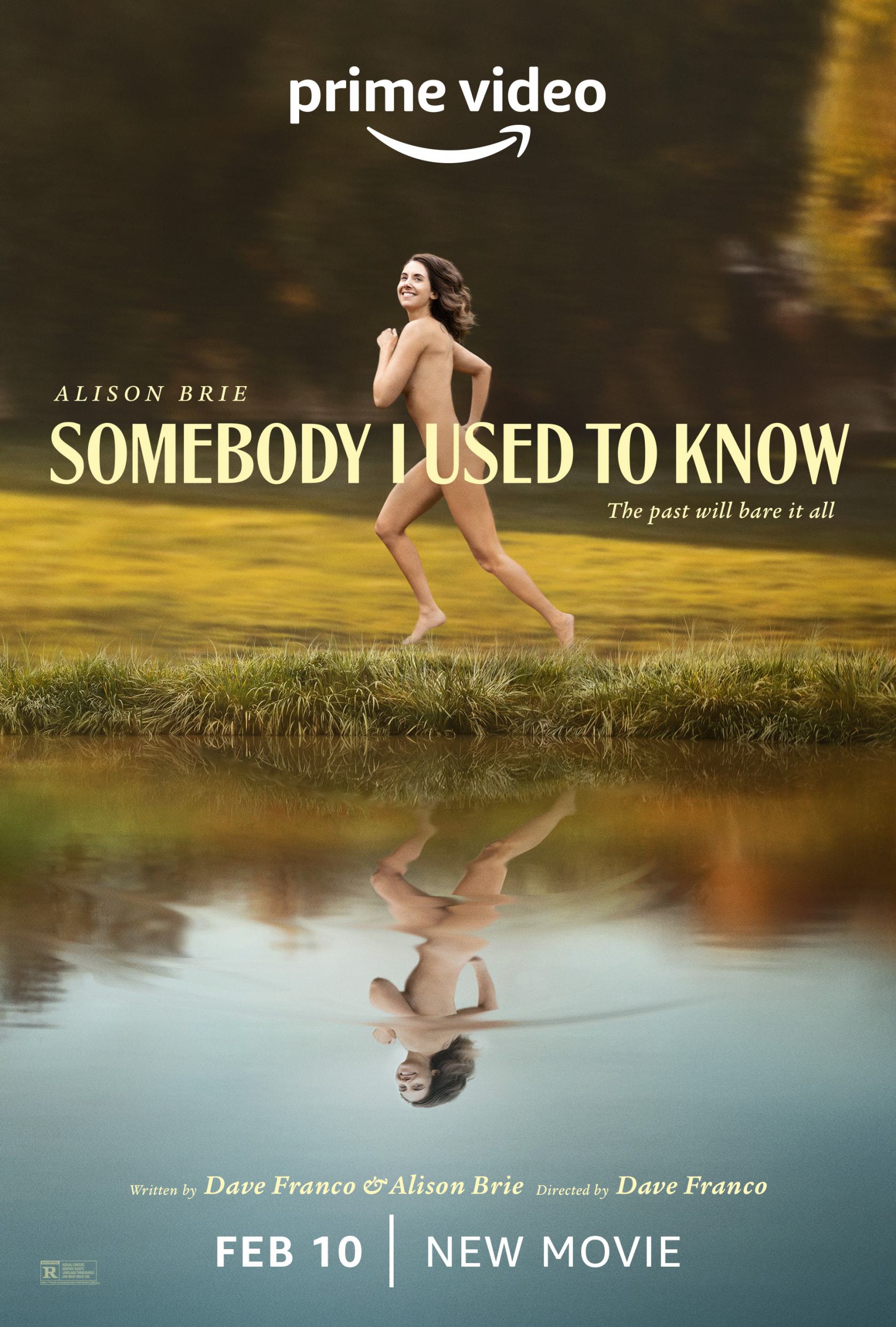 Somebody I Used to Know Poster #1