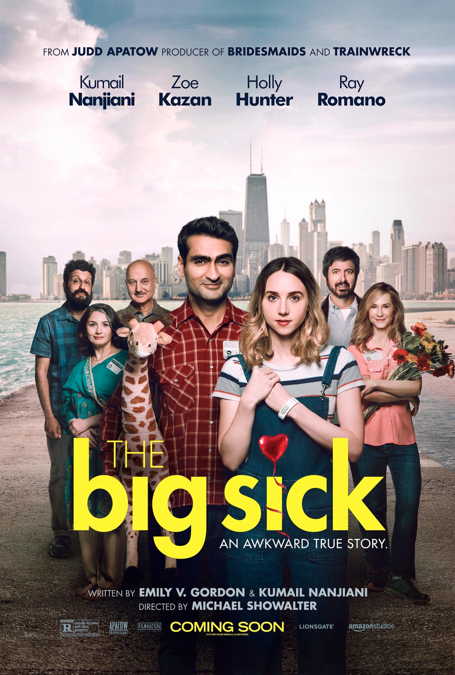 The Big Sick Poster #1