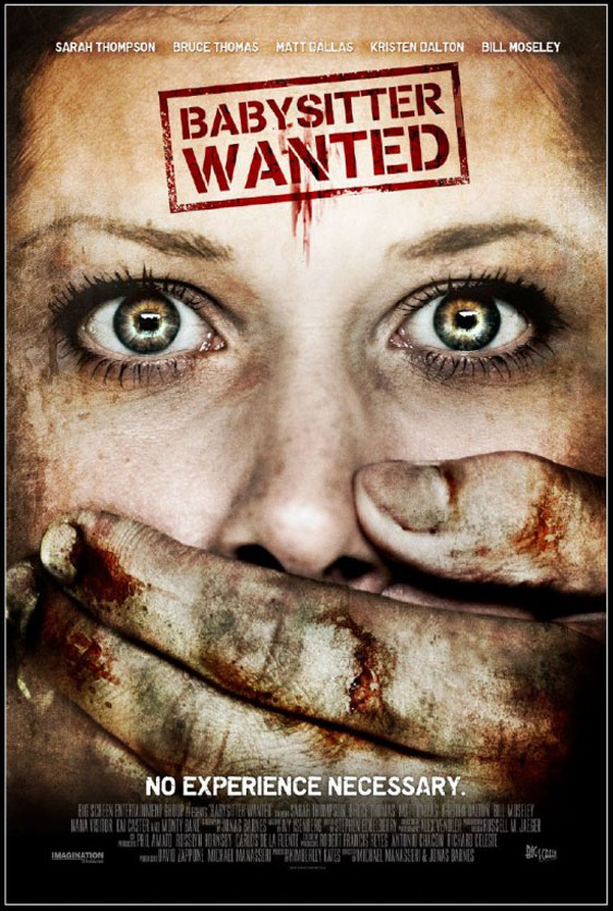 Babysitter Wanted Poster #1