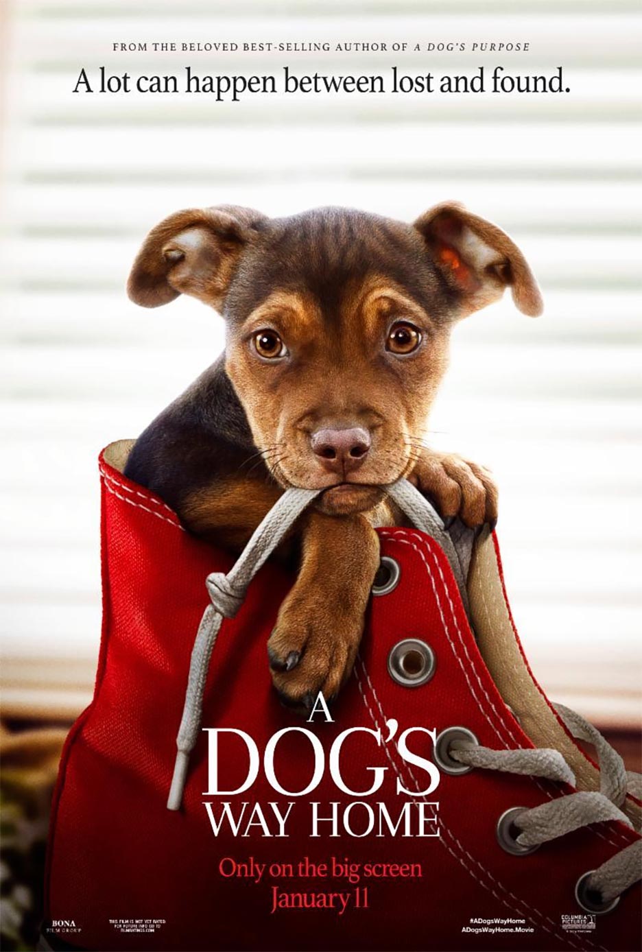 A Dog's Way Home Poster #1