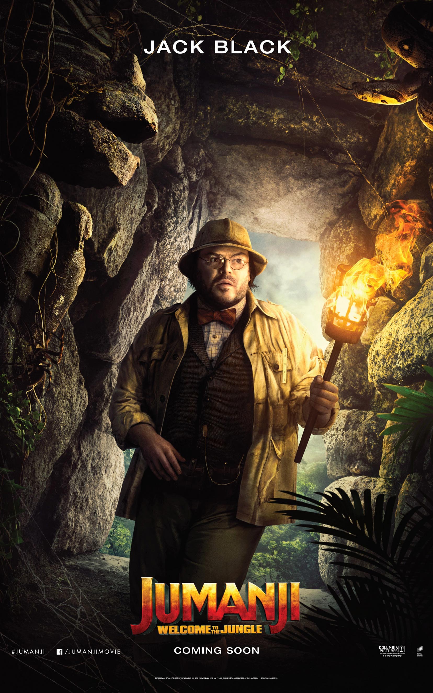 Jumanji: Welcome to the Jungle Poster #6