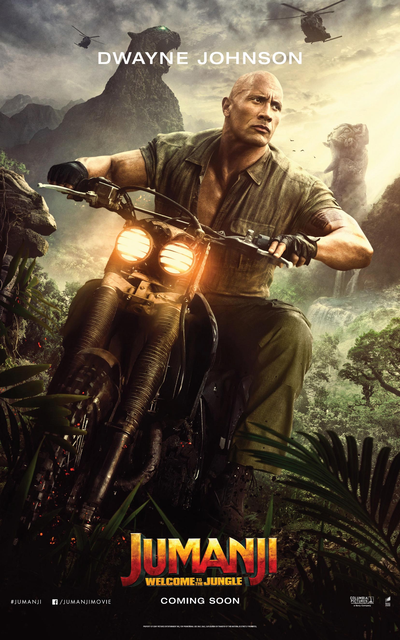 Jumanji: Welcome to the Jungle Poster #7