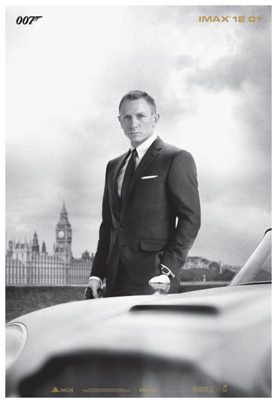 Skyfall Poster #11