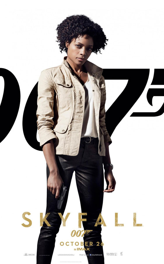 Skyfall Poster #5