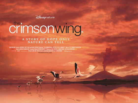 The Crimson Wing: Mystery of the Flamingos Poster #2