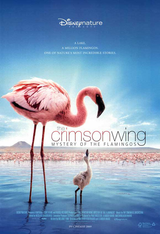 The Crimson Wing: Mystery of the Flamingos Poster #1