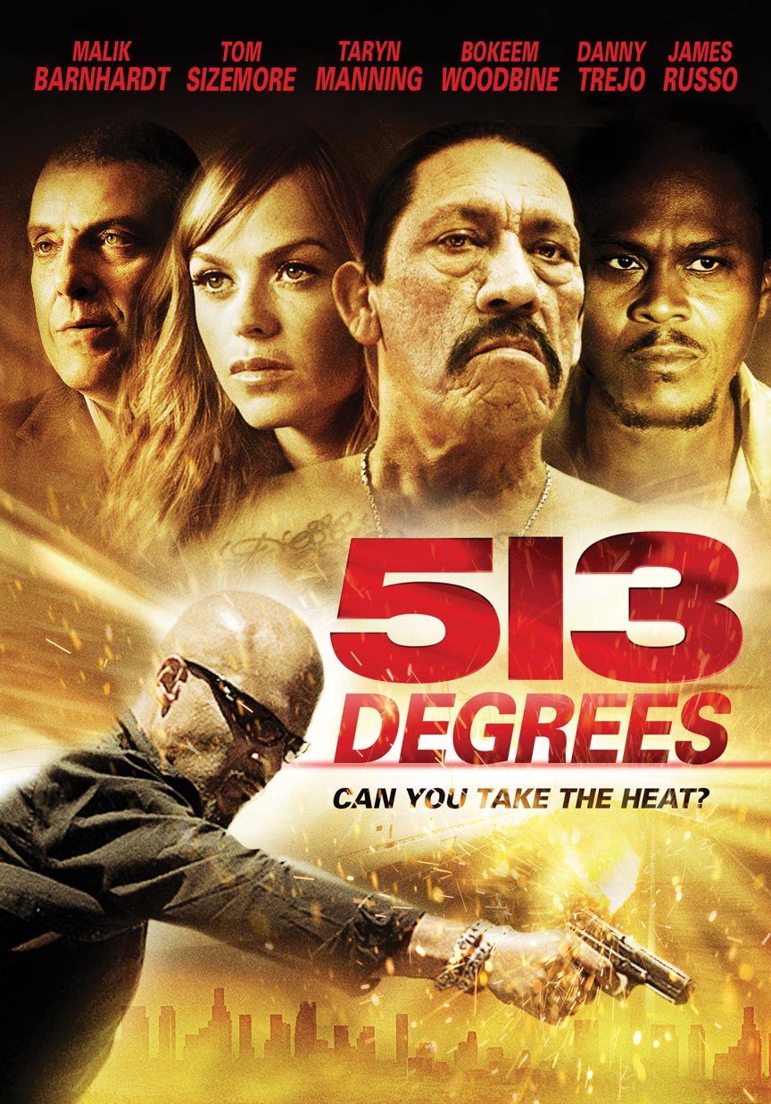 513 Degrees Poster #1