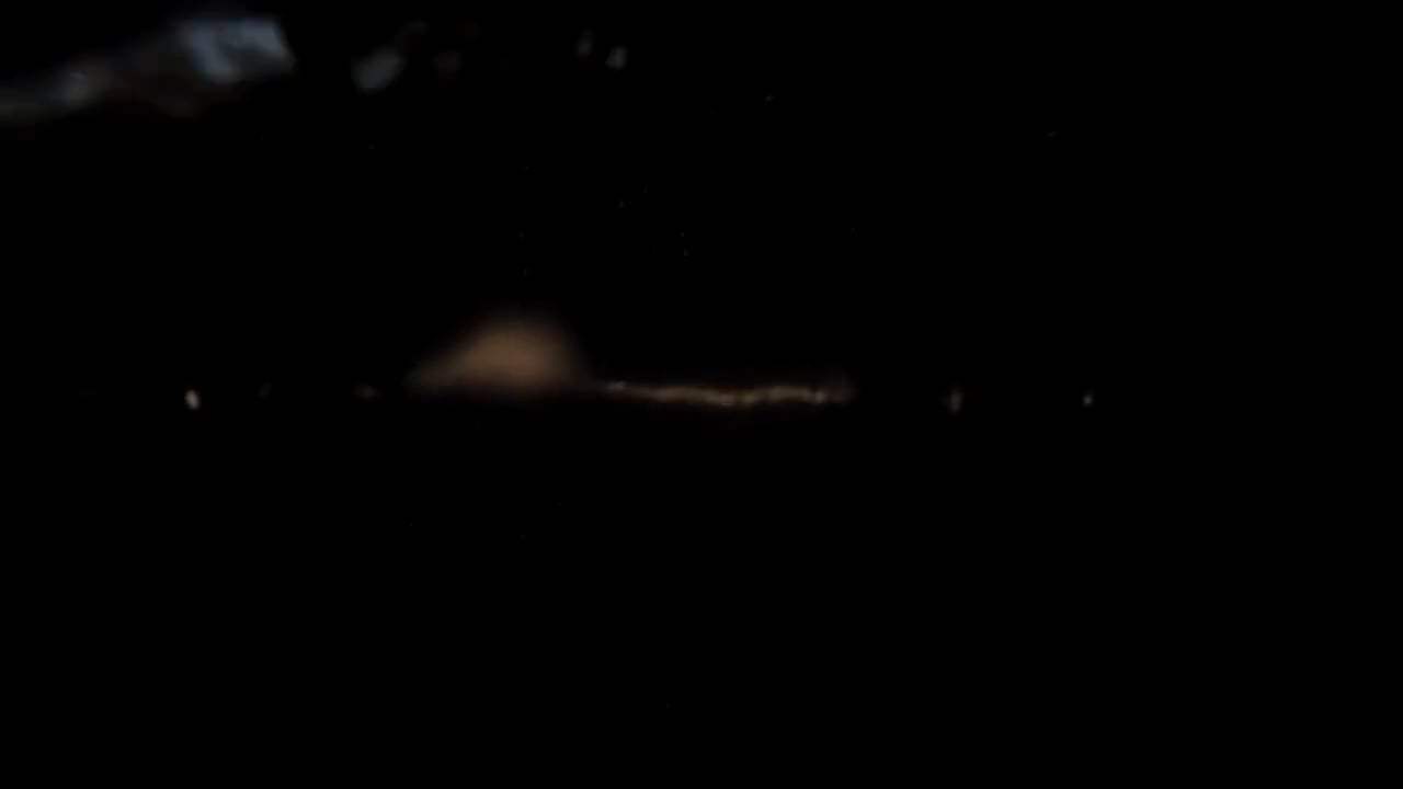 Eternal Amazon Trailer (2012) Screen Capture #4