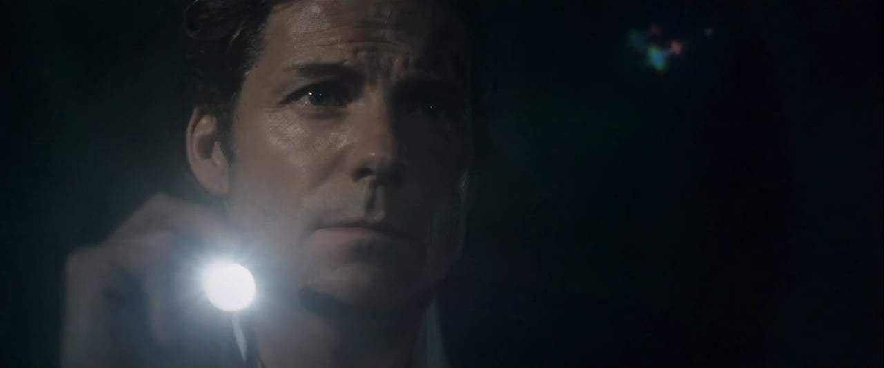 Money Trailer (2017) Screen Capture #4