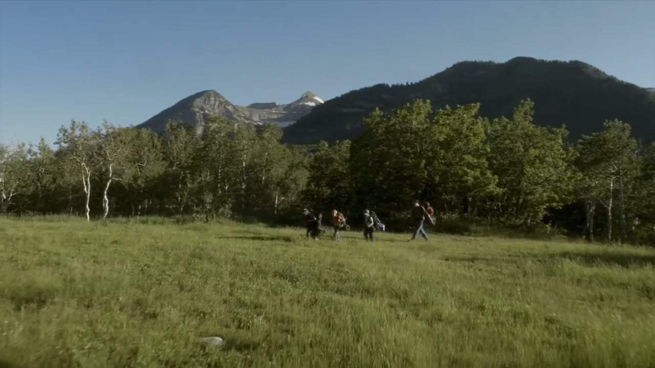 The Stray Trailer (2017) Screen Capture #3