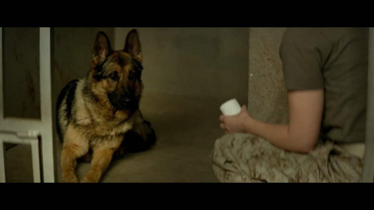 Megan Leavey TV Spot - Own It (2017) Screen Capture #2