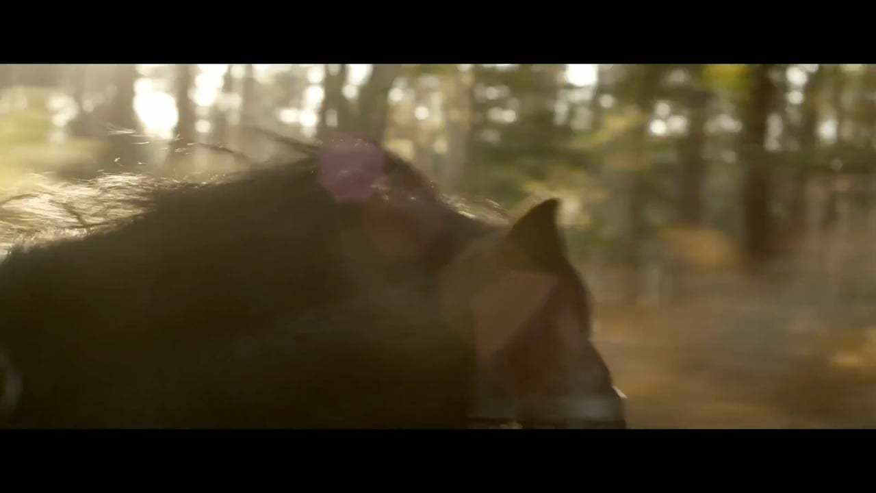 The Scent of Mandarin Trailer (2015) Screen Capture #3