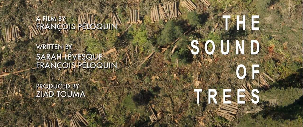 The Sound of Trees Trailer (2015) Screen Capture #4