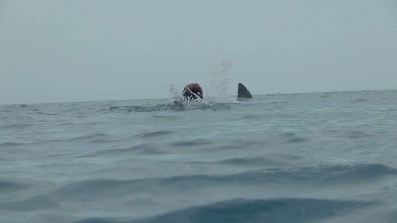 Open Water 3: Cage Dive Trailer (2017) Screen Capture #2