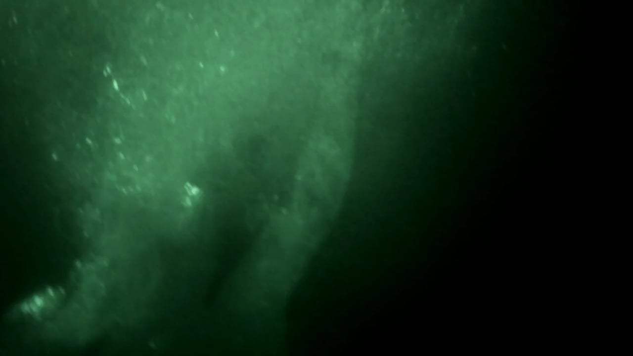 Open Water 3: Cage Dive Trailer (2017) Screen Capture #4