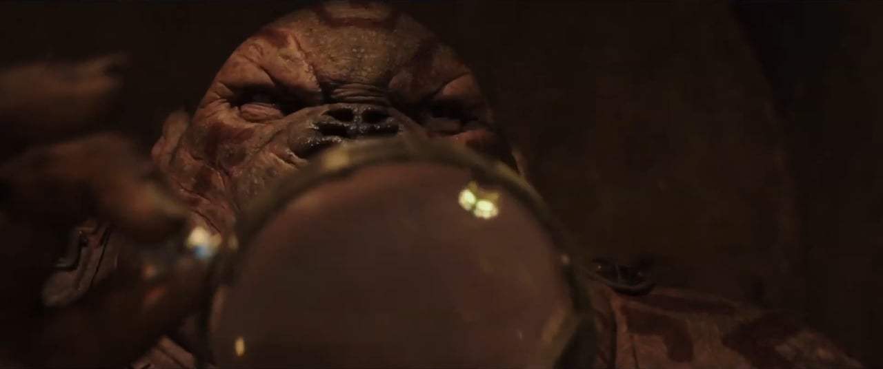 Valerian and the City of a Thousand Planets (2017) - This is Priceless Screen Capture #1