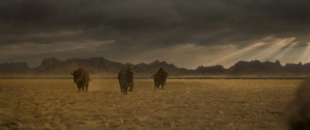 Alpha Trailer (2018) Screen Capture #2