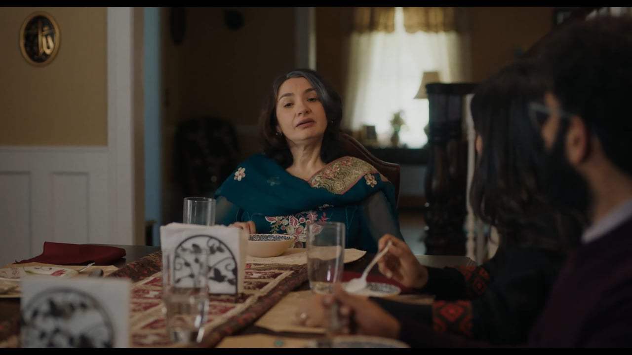 The Big Sick (2017) - The Truth is Out There Screen Capture #1