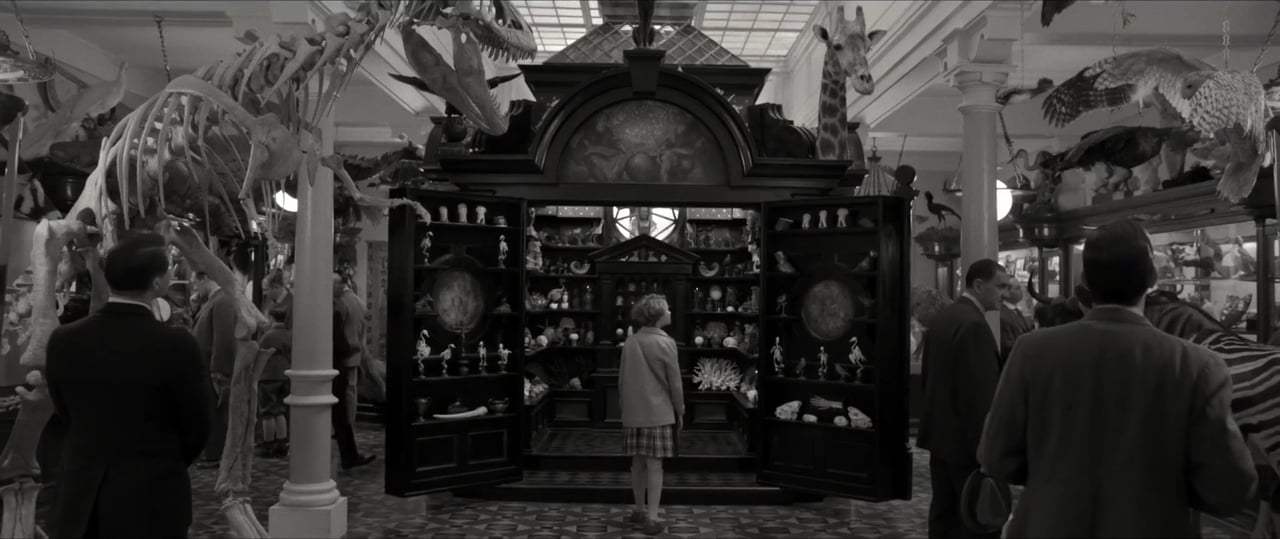 Wonderstruck Trailer (2017) Screen Capture #2