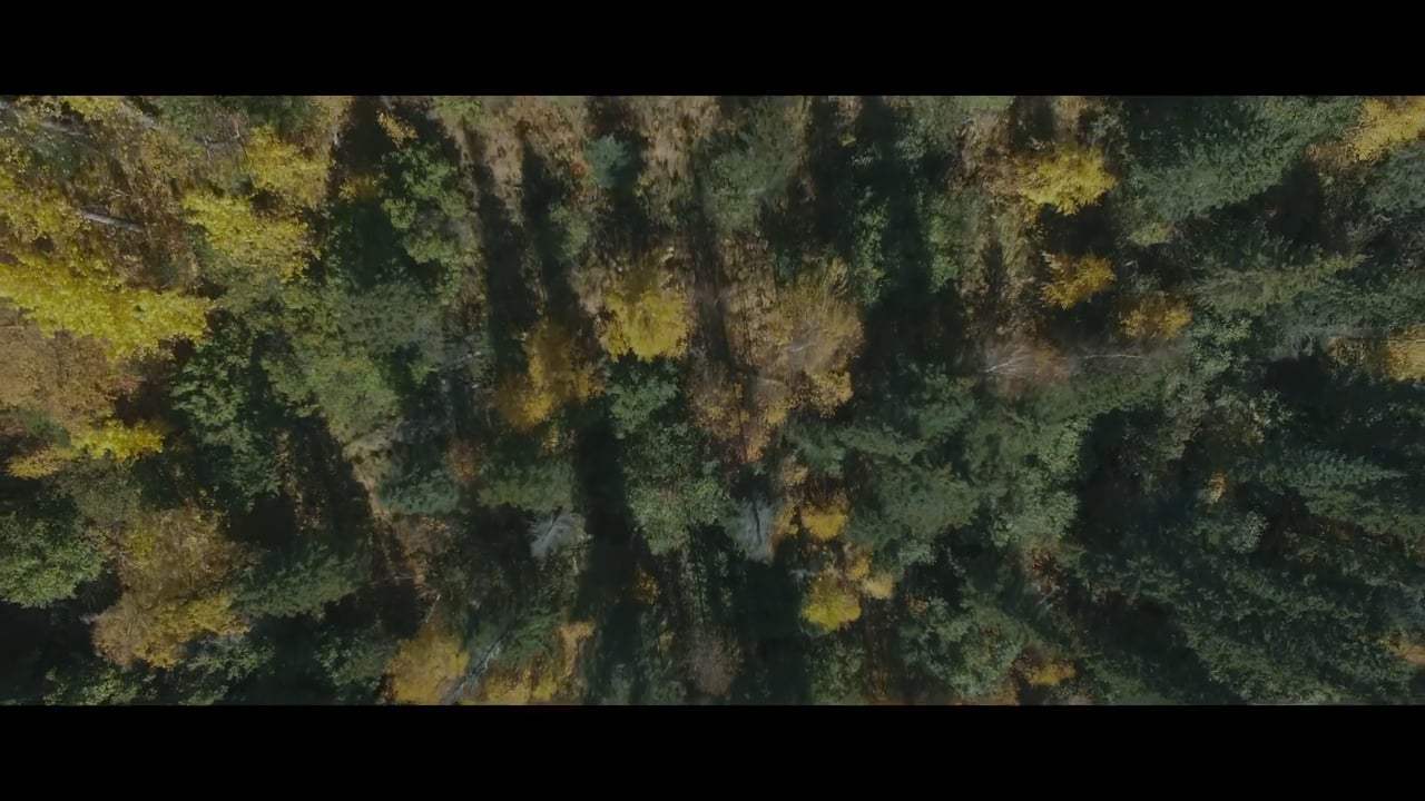 The Lure Teaser Trailer (2017) Screen Capture #2