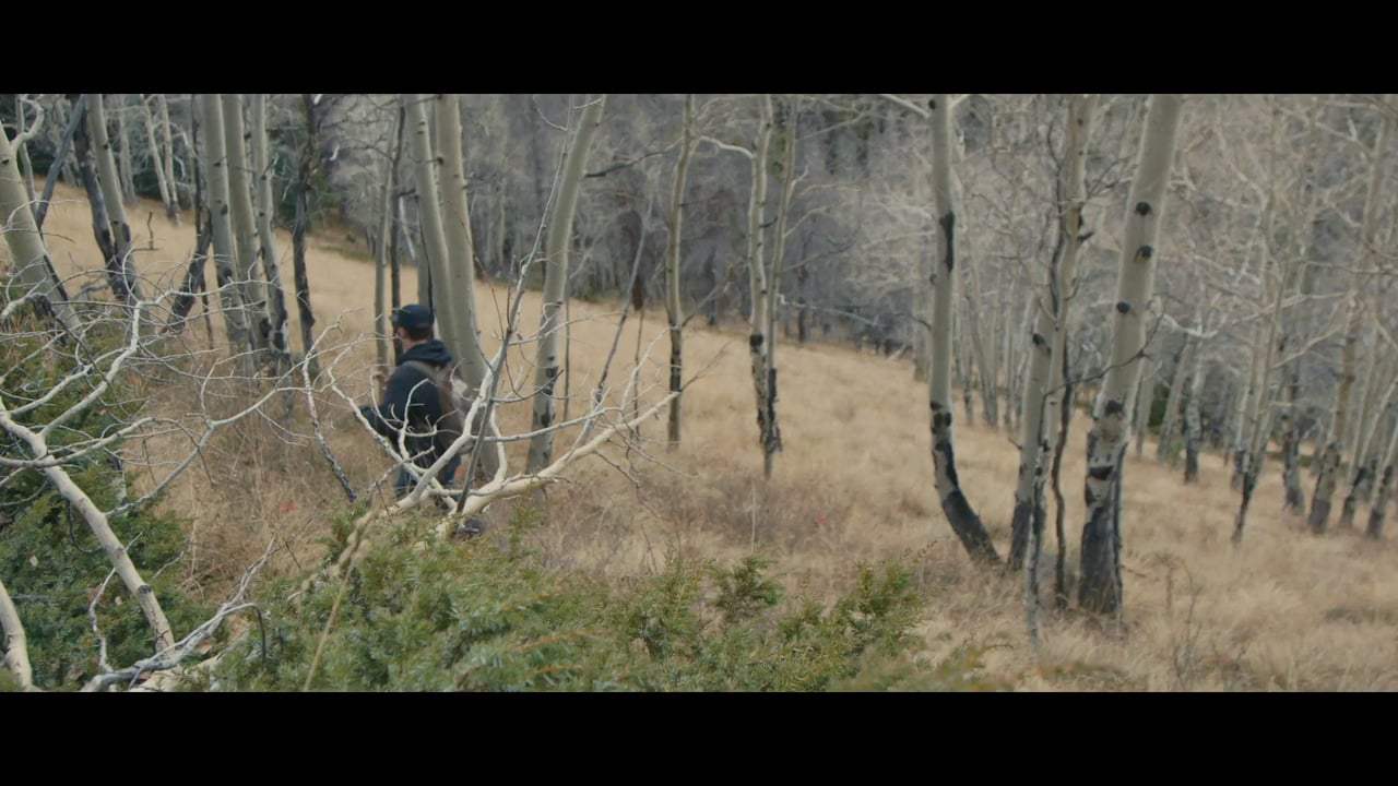 The Lure Teaser Trailer (2017) Screen Capture #3