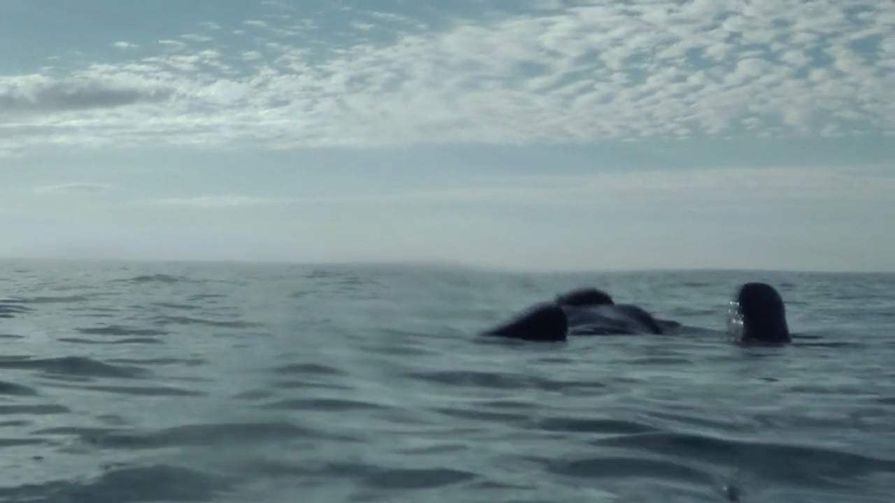 Open Water 3: Cage Dive (2017) - Hit by Wave Screen Capture #4