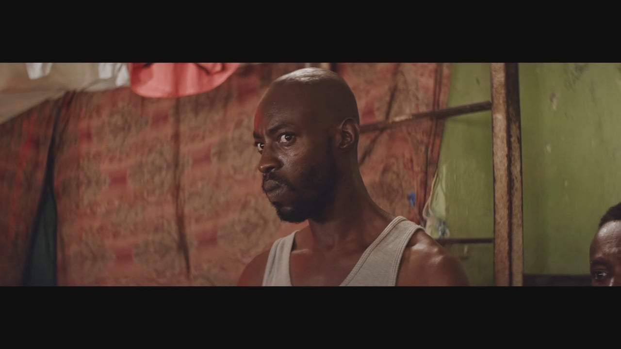 Woodpeckers Theatrical Trailer (2017) Screen Capture #1