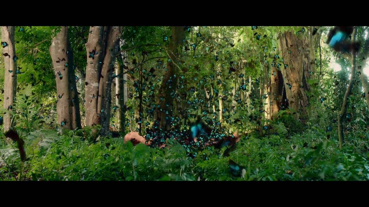 The Butterfly Tree Trailer (2017) Screen Capture #4