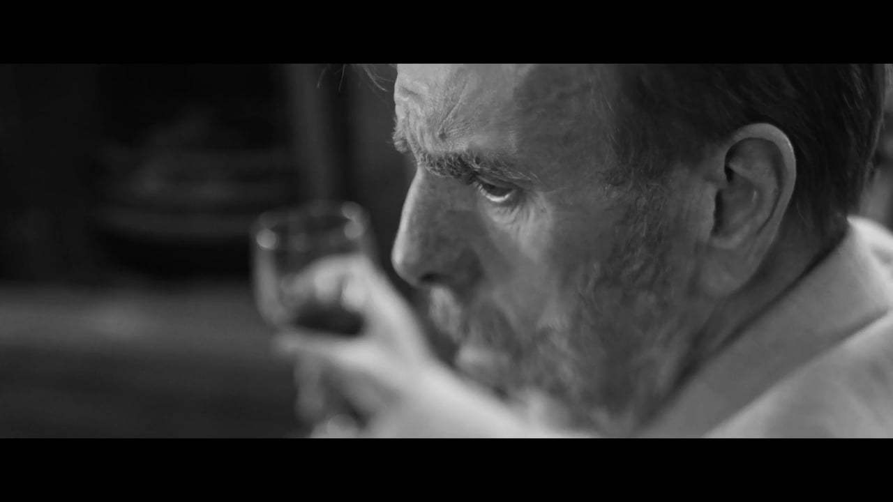 The Party Trailer (2017) Screen Capture #1