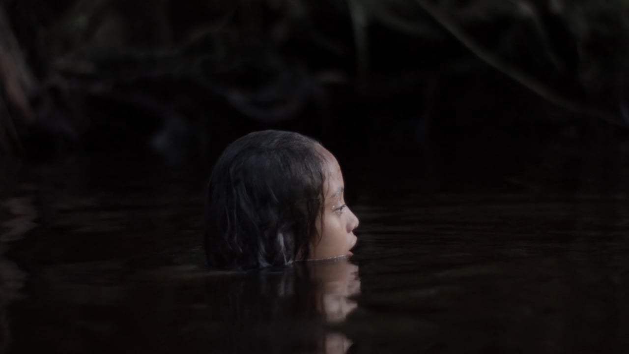 Selva Trailer (2016) Screen Capture #1