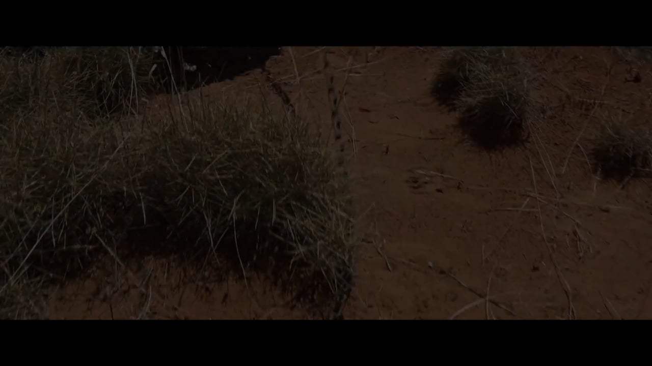 Sweet Country Trailer (2017) Screen Capture #2