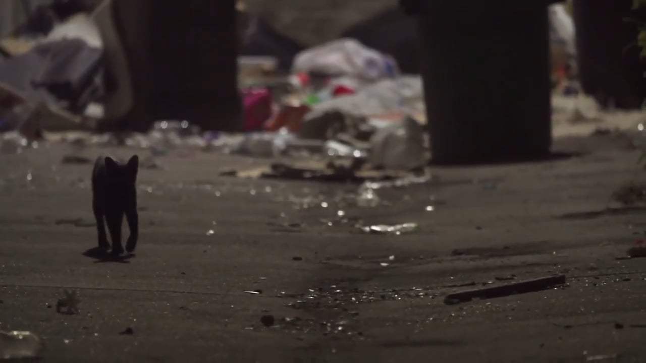 Rat Film (2017) - Norway Rat Screen Capture #1
