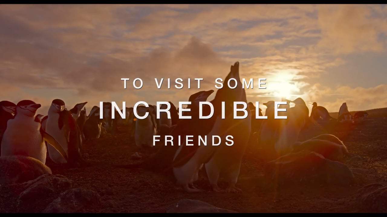 Earth: One Amazing Day Trailer (2017) Screen Capture #2