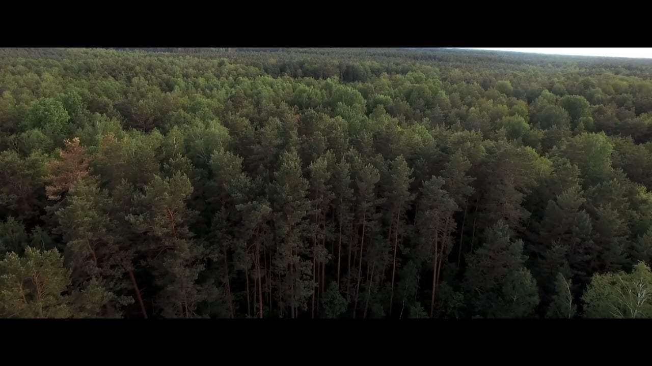 Blood Money Trailer (2017) Screen Capture #3