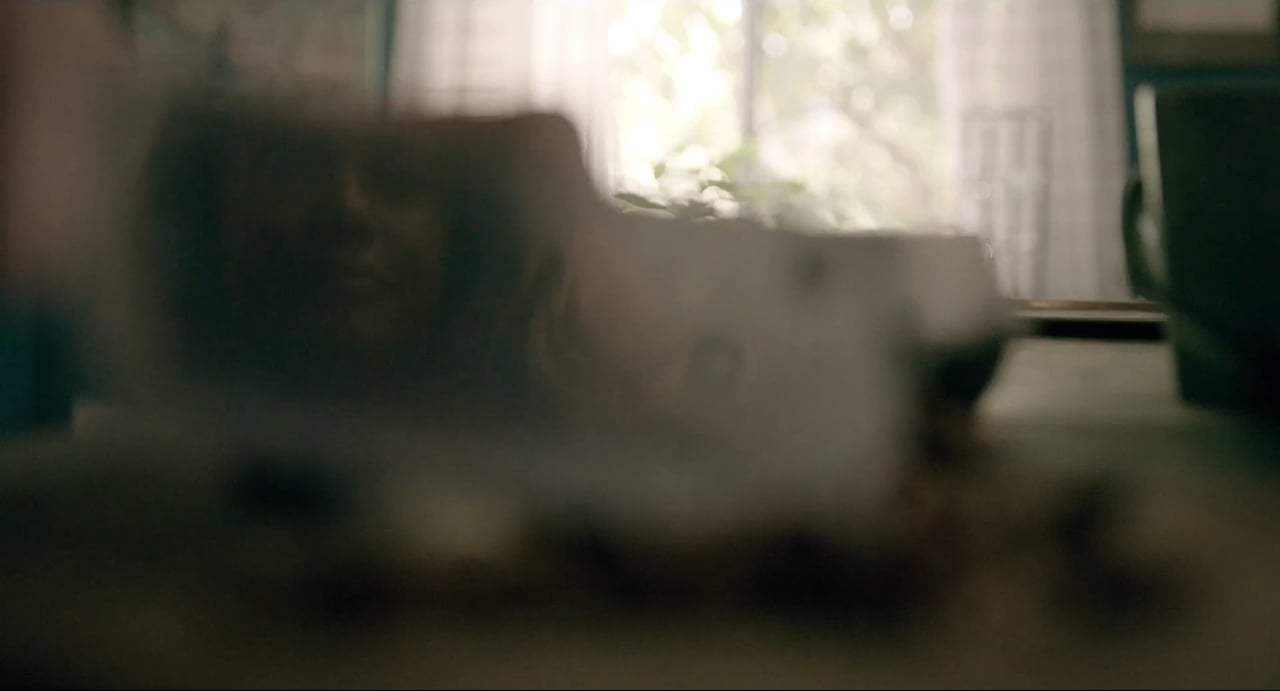 Maya Dardel Trailer (2017) Screen Capture #3