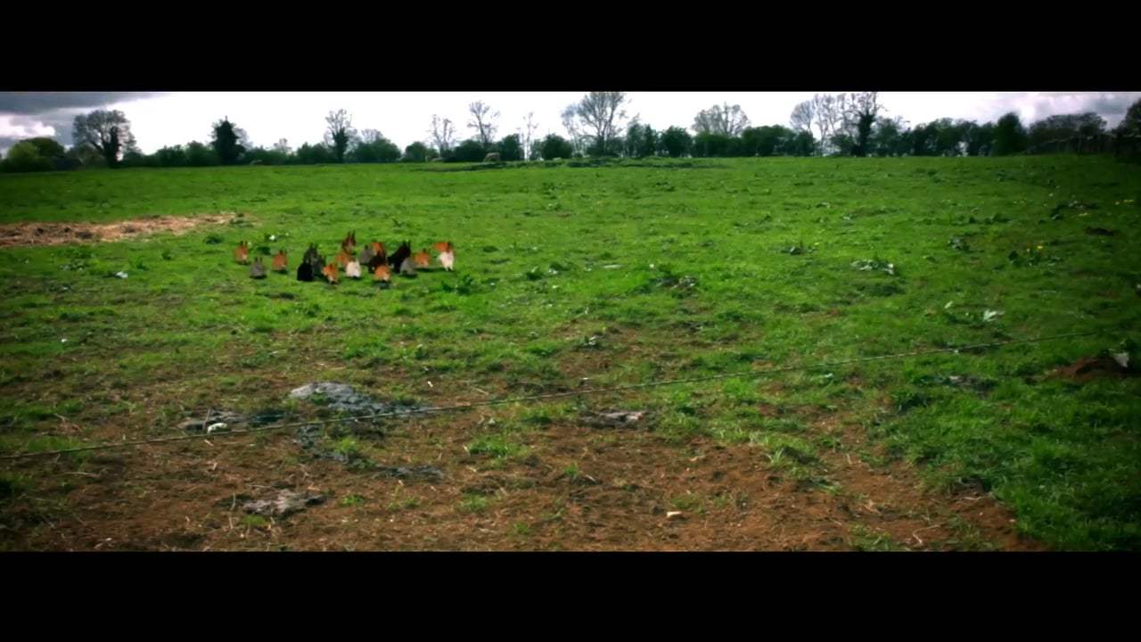 Cute Little Buggers Trailer (2017) Screen Capture #4
