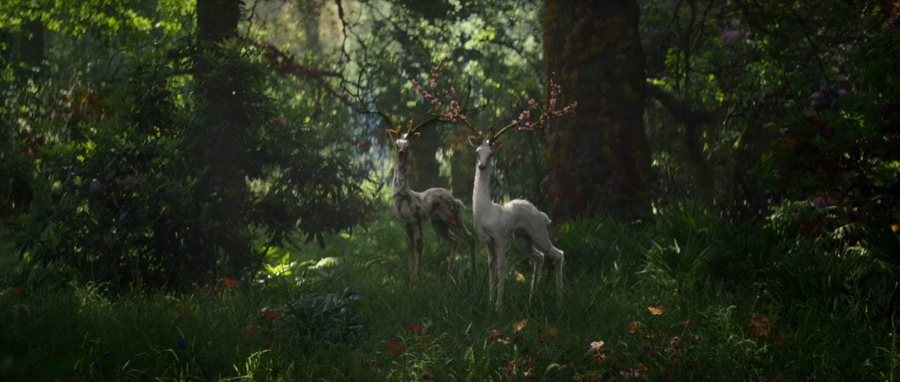 Annihilation Trailer (2018) Screen Capture #3