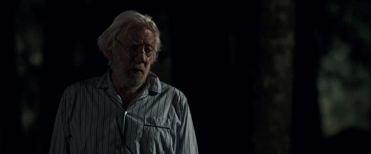 The Leisure Seeker Trailer (2018) Screen Capture #3