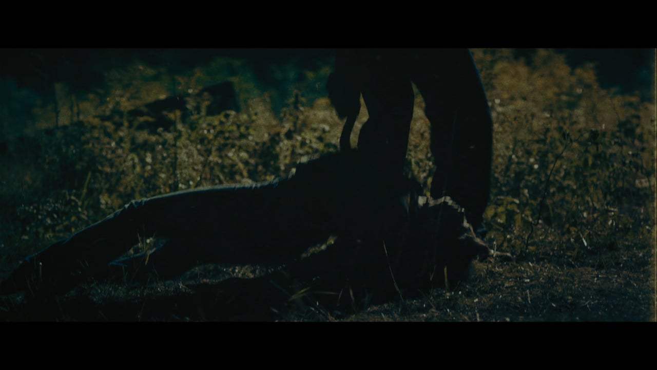 Buckout Road Trailer (2017) Screen Capture #1
