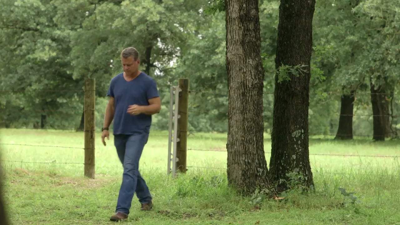 Sightings Trailer (2017) Screen Capture #1