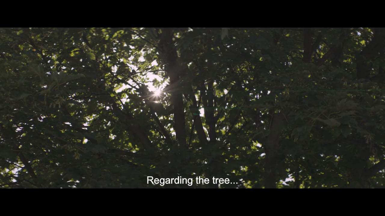 Under the Tree Trailer (2017) Screen Capture #1