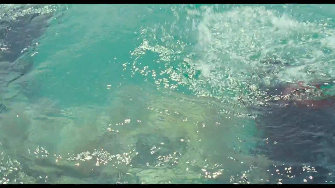 Call Me by Your Name (2017) - Truce Screen Capture #4